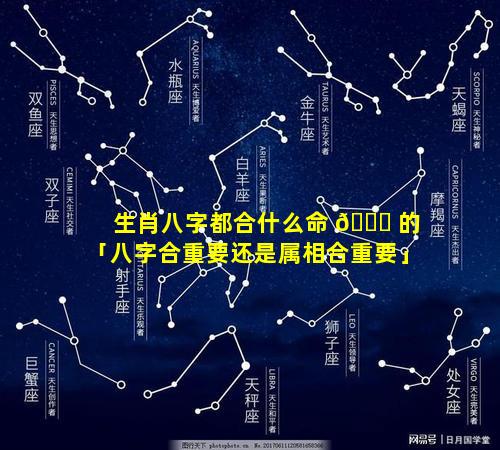 生肖八字都合什么命 🐋 的「八字合重要还是属相合重要」